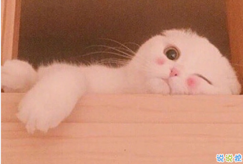 經(jīng)典個性簡單有趣勵志說說 聽從你心無問東西1