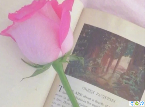 經(jīng)典個性簡單有趣勵志說說 聽從你心無問東西4