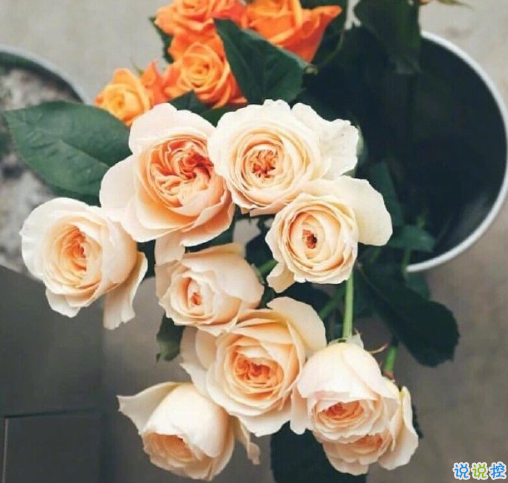 個(gè)性唯美溫暖簡短一句話說說 著迷長夜繁星的歡喜1