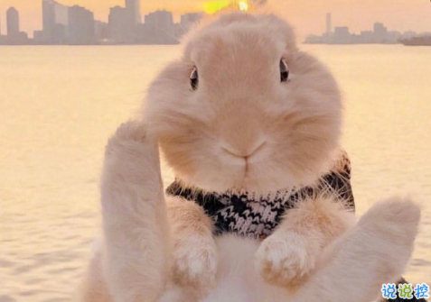 個(gè)性唯美溫暖簡短一句話說說 著迷長夜繁星的歡喜2