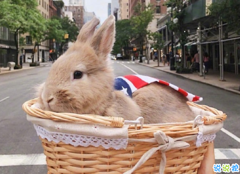 文藝感哲理深意正能量句子 溫暖的文寫著倔強的字1