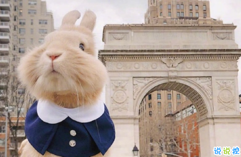 文藝感哲理深意正能量句子 溫暖的文寫著倔強的字2