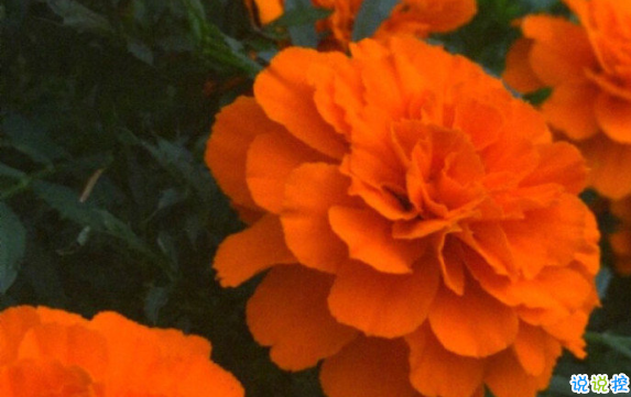 文藝唯美傷感關(guān)于愛情的說說 春風(fēng)十里不如你2