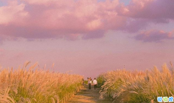 文藝唯美傷感關(guān)于愛情的說說 春風(fēng)十里不如你10