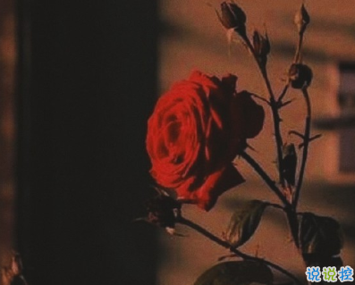 九月適合發(fā)朋友圈說(shuō)說(shuō)帶圖片唯美 九月該來(lái)的總會(huì)來(lái)3