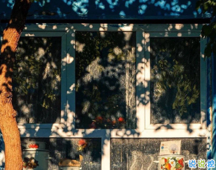 九月適合發(fā)朋友圈說(shuō)說(shuō)帶圖片唯美 九月該來(lái)的總會(huì)來(lái)2