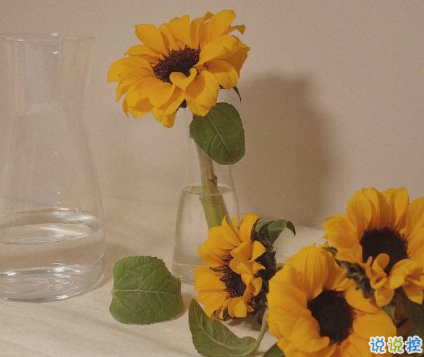 九月適合發(fā)朋友圈說(shuō)說(shuō)帶圖片唯美 九月該來(lái)的總會(huì)來(lái)11