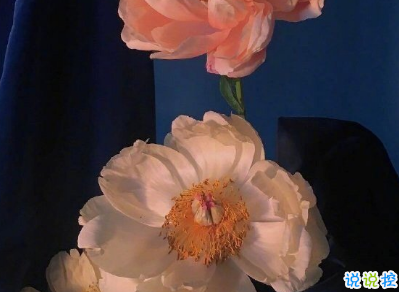 2020經(jīng)典個(gè)性哲理簡(jiǎn)短走心文案 ?后來(lái)你的笑容也變得模糊了6