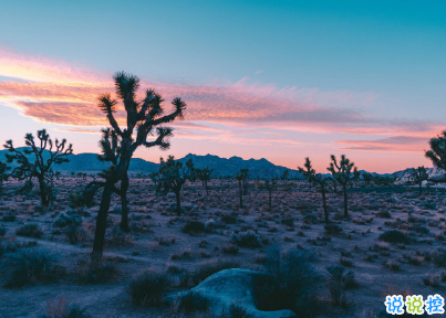 2020經(jīng)典個(gè)性哲理簡(jiǎn)短走心文案 ?后來(lái)你的笑容也變得模糊了12