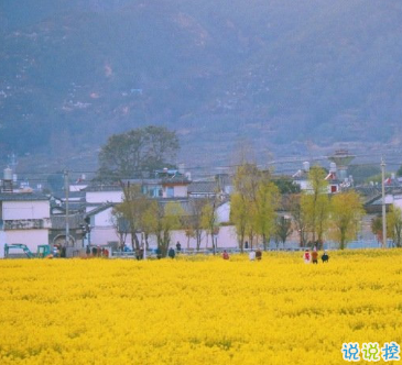 八字簡(jiǎn)短個(gè)性勵(lì)志哲理詩意文案 深意個(gè)性好聽深意文案1