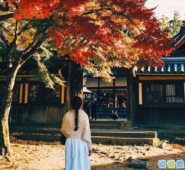 最新秋季唯美詩意文藝個(gè)性說說 可以去追逐星星但做自己的太陽 ????1