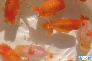 最新傷感唯美個(gè)性簡(jiǎn)短詩(shī)意說(shuō)說(shuō) 年華虛度空有一身疲倦1