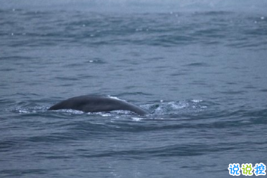 最新傷感唯美個(gè)性簡(jiǎn)短詩(shī)意說(shuō)說(shuō) 年華虛度空有一身疲倦7