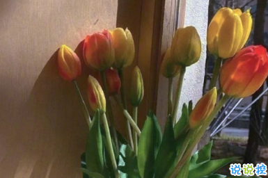 最新傷感唯美個(gè)性簡(jiǎn)短詩(shī)意說(shuō)說(shuō) 年華虛度空有一身疲倦11