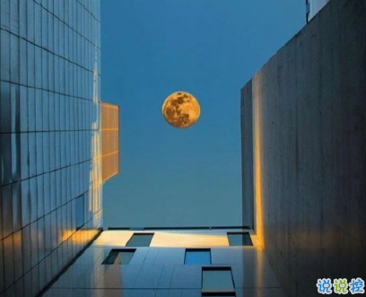 名人哲理文案勵(lì)志有道理個(gè)性說說  有內(nèi)涵簡(jiǎn)短哲理致自己說說2