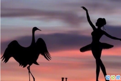 名人哲理文案勵(lì)志有道理個(gè)性說說  有內(nèi)涵簡(jiǎn)短哲理致自己說說1