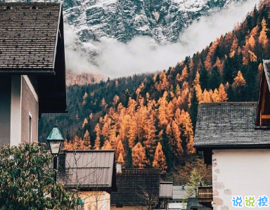 唯美好聽古風(fēng)內(nèi)涵詩句文案說說 滿載一船明月平鋪千里秋江1