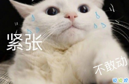 個性可愛搞笑幽默優(yōu)美文案說說 物極必反人美必單1