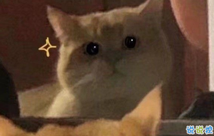 個性可愛搞笑幽默優(yōu)美文案說說 物極必反人美必單2