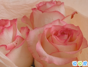 最新溫柔唯美好聽的個性文案 生活有驚喜事事有回應(yīng)9