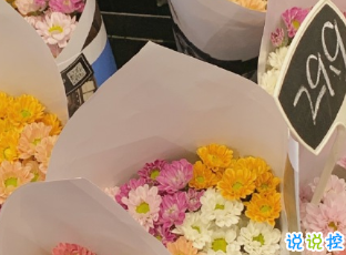 最新溫柔唯美好聽的個性文案 生活有驚喜事事有回應(yīng)13