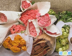 最新溫柔唯美好聽的個性文案 生活有驚喜事事有回應(yīng)14