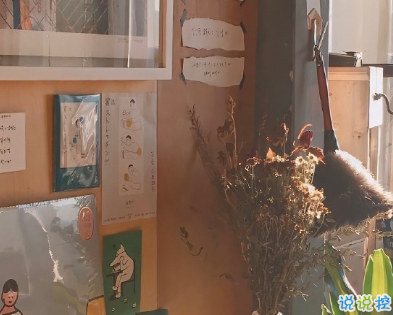 個(gè)性沮喪郁悶傷感內(nèi)涵說說 早點(diǎn)睡覺你什么都等不到2