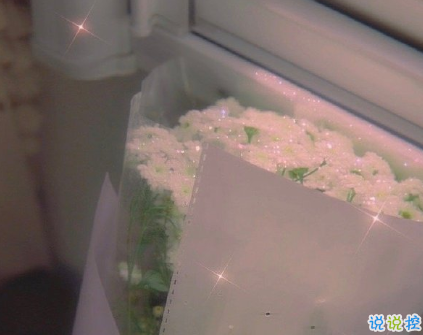 超可愛撒嬌情話句子說給對象聽 我對你的喜歡比今天又多了一點3