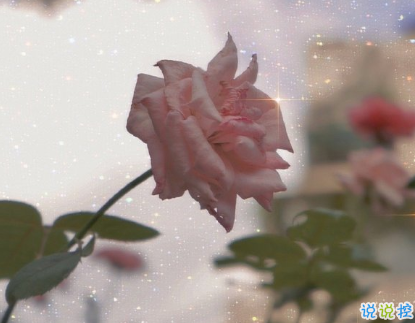 超可愛撒嬌情話句子說給對象聽 我對你的喜歡比今天又多了一點4