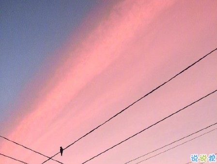 超可愛撒嬌情話句子說給對象聽 我對你的喜歡比今天又多了一點13