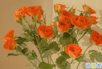 朋友圈內(nèi)涵語錄帶圖片 不要向?qū)Ψ奖г雇患?