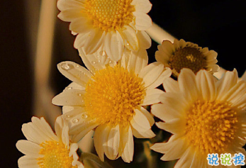 朋友圈內(nèi)涵語錄帶圖片 不要向?qū)Ψ奖г雇患?