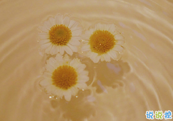 朋友圈內(nèi)涵語錄帶圖片 不要向?qū)Ψ奖г雇患?