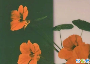 朋友圈內(nèi)涵語錄帶圖片 不要向?qū)Ψ奖г雇患?1