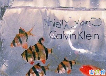 朋友圈內(nèi)涵語錄帶圖片 不要向?qū)Ψ奖г雇患?2