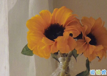 朋友圈內(nèi)涵語錄帶圖片 不要向?qū)Ψ奖г雇患?4