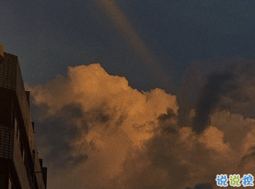 朋友圈經(jīng)典哲理文案 學(xué)會(huì)溫柔明白溫柔7