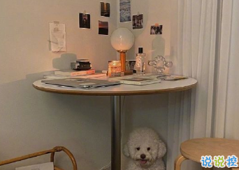 朋友圈經(jīng)典哲理文案 學(xué)會(huì)溫柔明白溫柔14