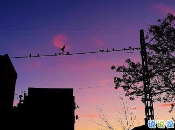 生活中令人難過的傷感說說 淚水不總是表示悲傷11