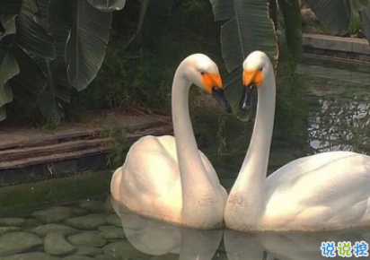 28條靠譜小細(xì)節(jié)文案合集 感情不要讓別人猜2