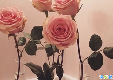 溫柔可愛(ài)的文字帶圖片 隨身的行囊裝些快樂(lè)2