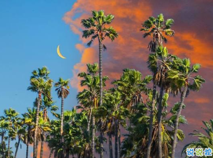 溫柔可愛(ài)的文字帶圖片 隨身的行囊裝些快樂(lè)15