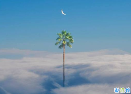 適合寫明信片的小句子合集 生生燈火明暗無輒1