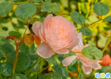 讓你瞬間長大的經(jīng)典語錄 回憶里就只剩下溫暖片段了2