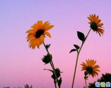 好天氣好風景好心情說說  快樂發(fā)圈秒贊文案1