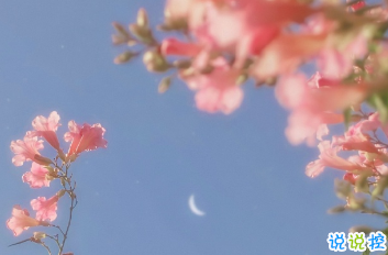 教師節(jié)個性圖片帶說說 做我們平淡歲月里的星辰9