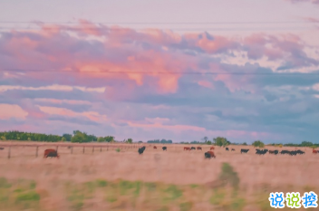 教師節(jié)個性圖片帶說說 做我們平淡歲月里的星辰13