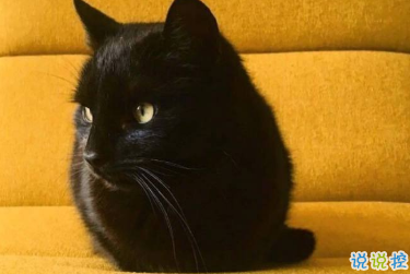 關(guān)于秋天的唯美句子 疊穿的季節(jié)就來了5