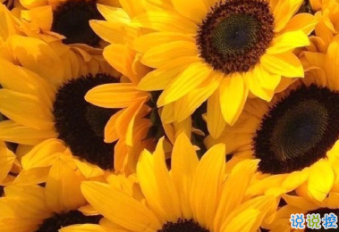 關(guān)于秋天的唯美句子 疊穿的季節(jié)就來了8