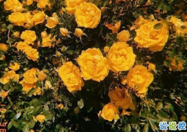 關(guān)于秋天的唯美句子 疊穿的季節(jié)就來了9